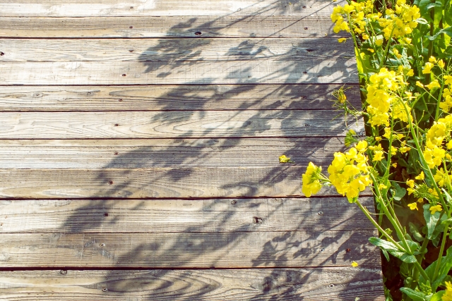 菜の花 庭に植えてはいけない